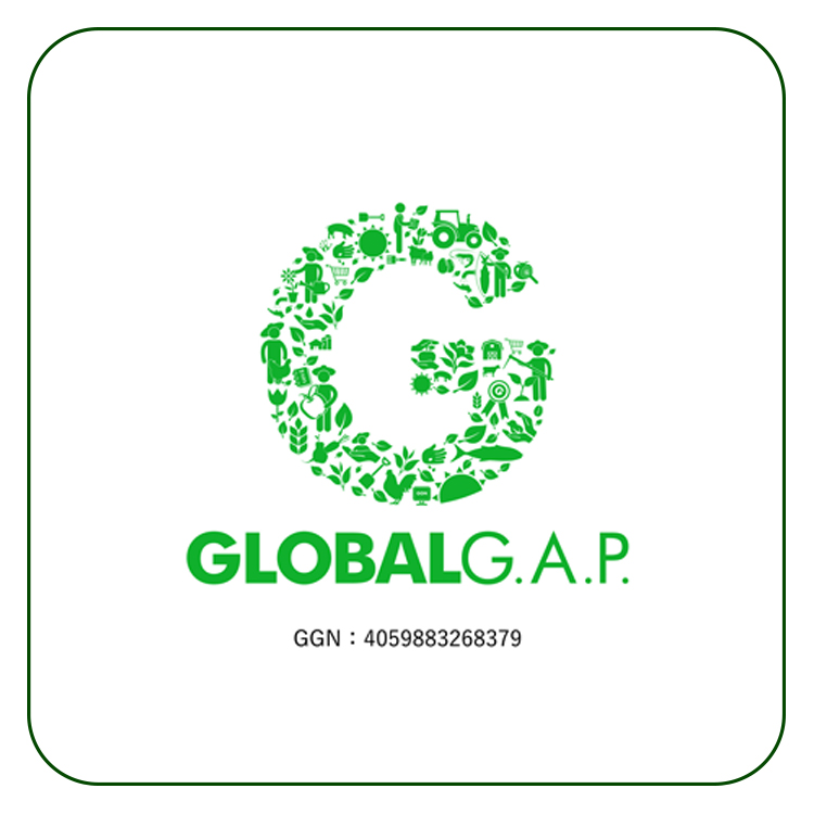 GLOBAL G.A.P.