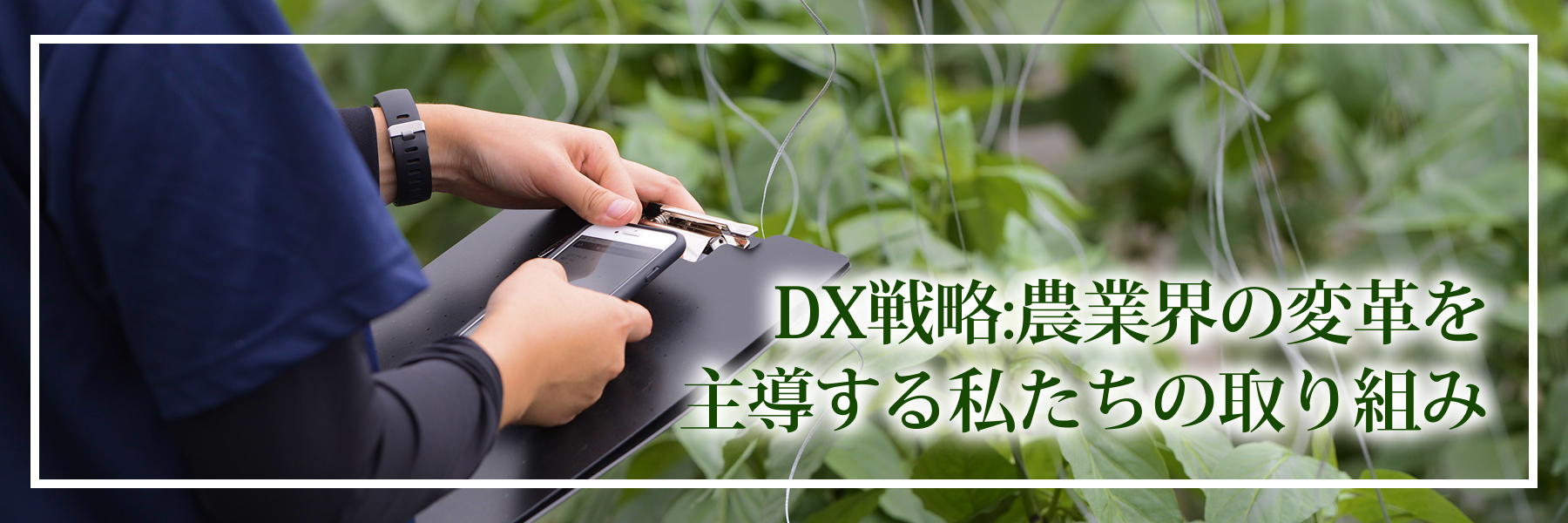 DX戦略:農業界の変革を主導する私たちの取り組み