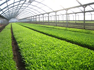 20081125