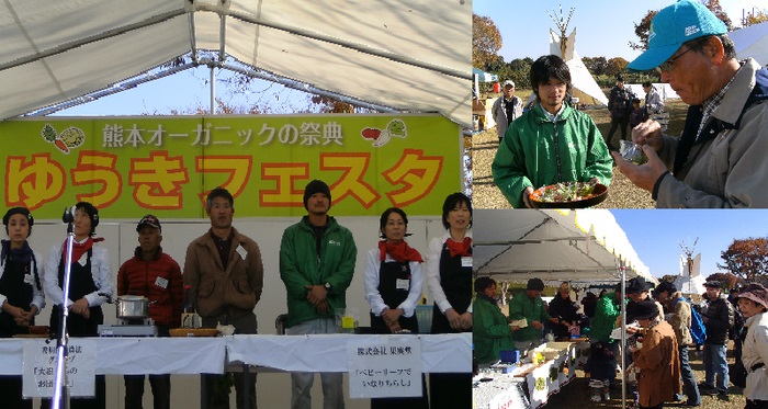 20121119