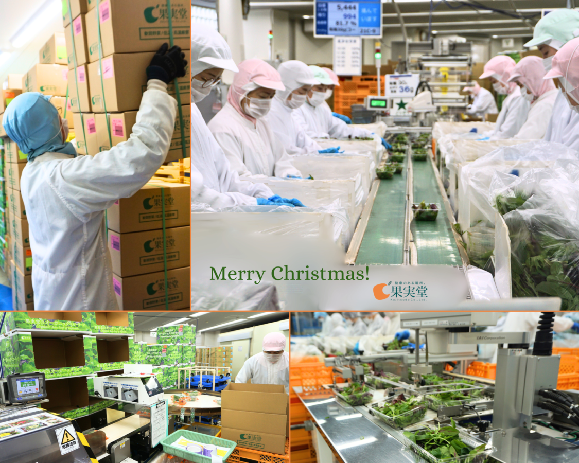 【2025年】今年もこの季節がやってきました！師走の「てんやわんや」